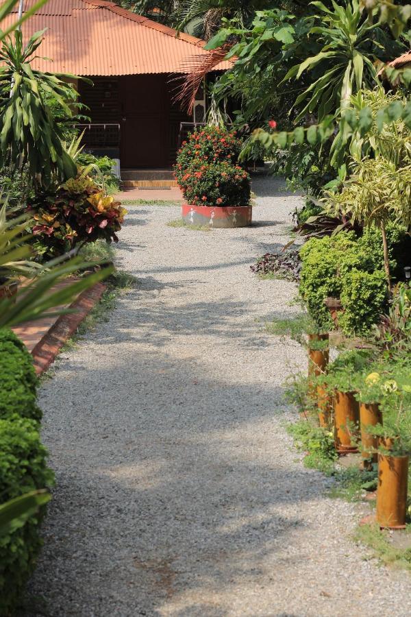 ホテルKerala Bamboo House バルカラ エクステリア 写真